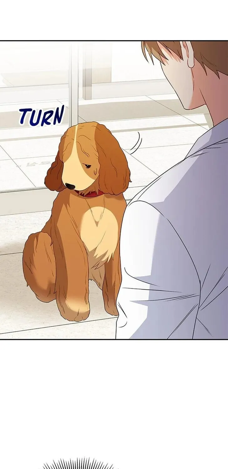 Hello, Mr. Veterinarian! Chapter 42 page 68 - 