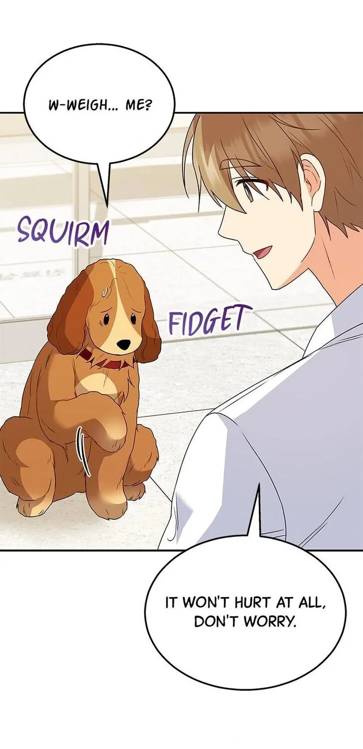 Hello, Mr. Veterinarian! Chapter 42 page 72 - 