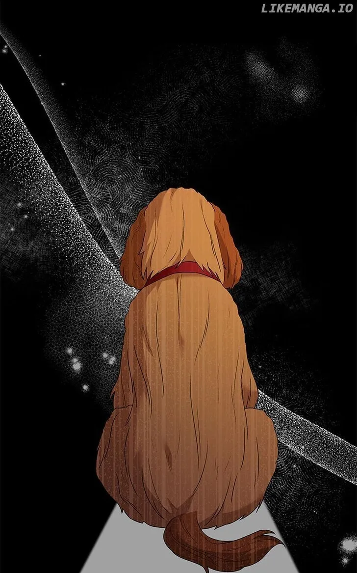 Hello, Mr. Veterinarian! Chapter 42 page 78 - 