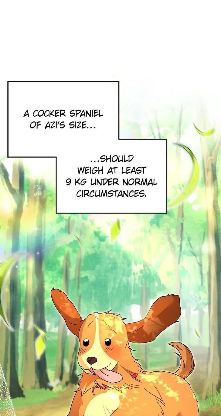 Hello, Mr. Veterinarian! Chapter 42 page 82 - 