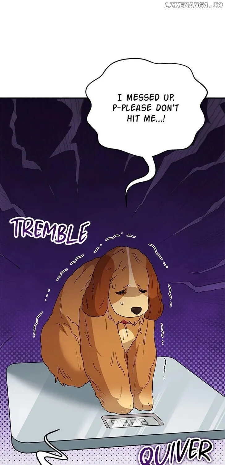 Hello, Mr. Veterinarian! Chapter 42 page 90 - 
