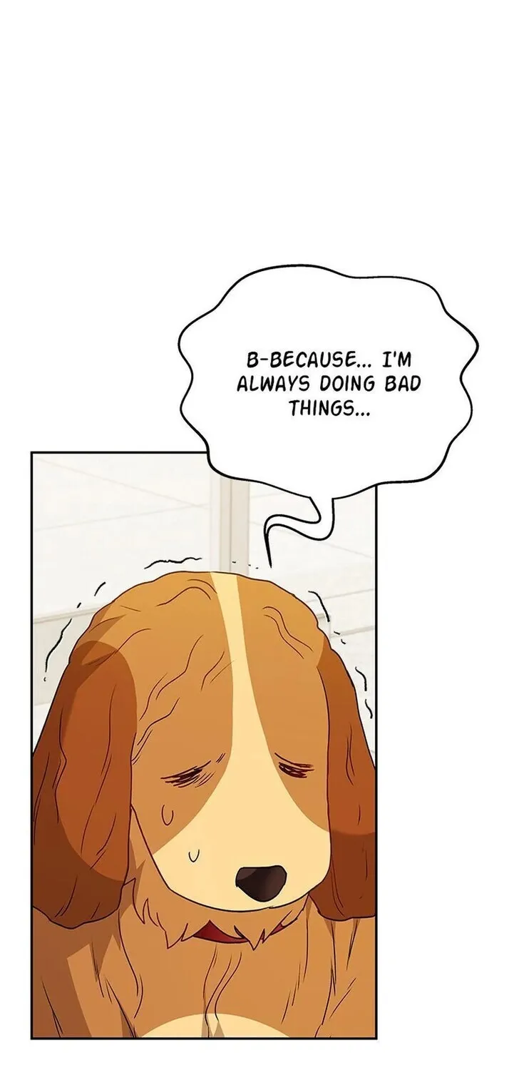 Hello, Mr. Veterinarian! Chapter 42 page 94 - 