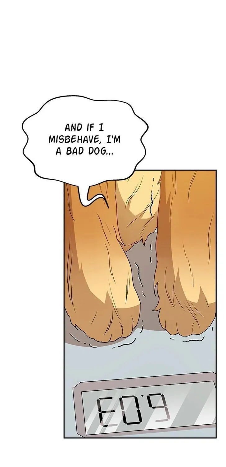 Hello, Mr. Veterinarian! Chapter 42 page 96 - 