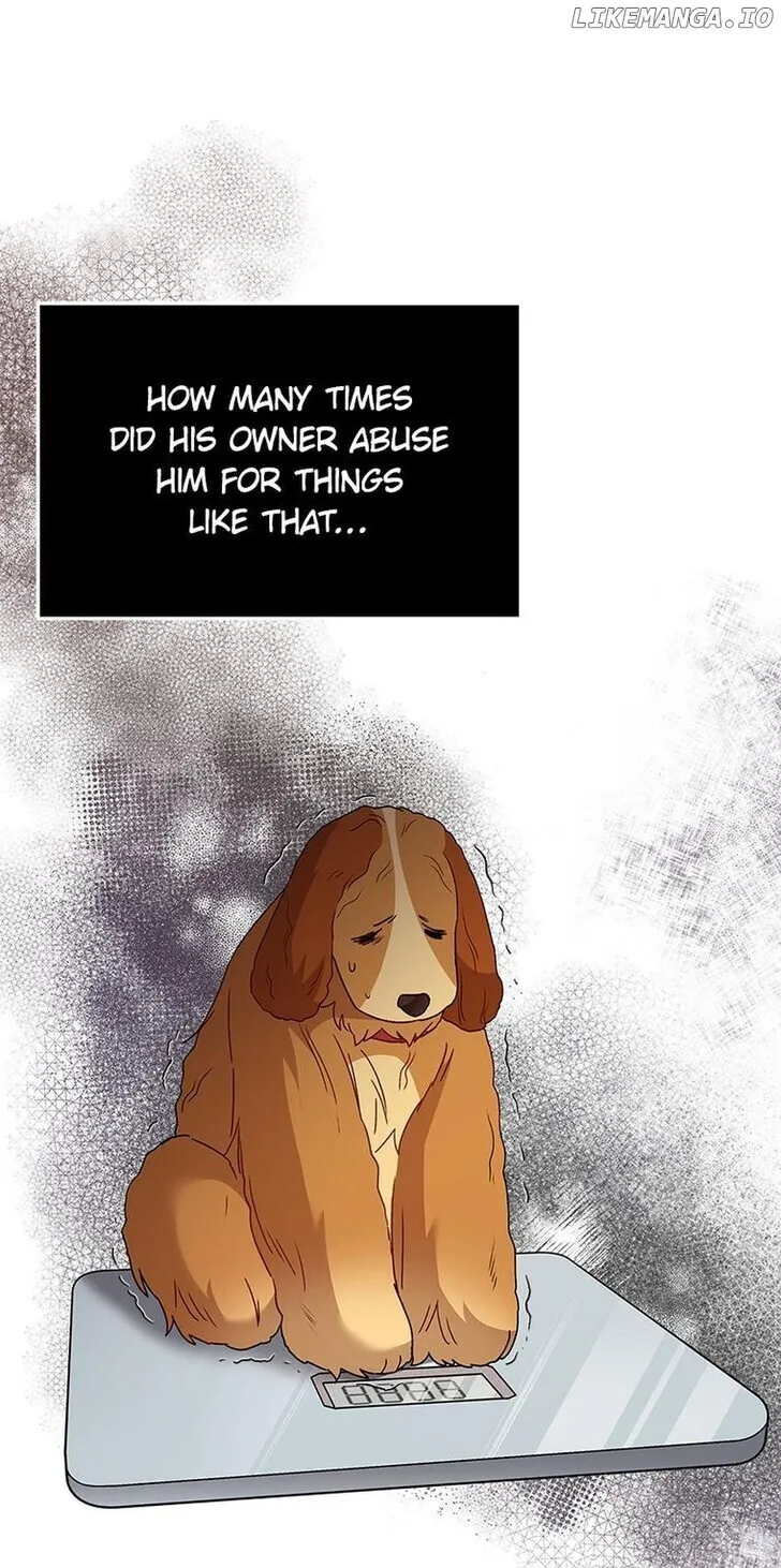 Hello, Mr. Veterinarian! Chapter 42 page 100 - 