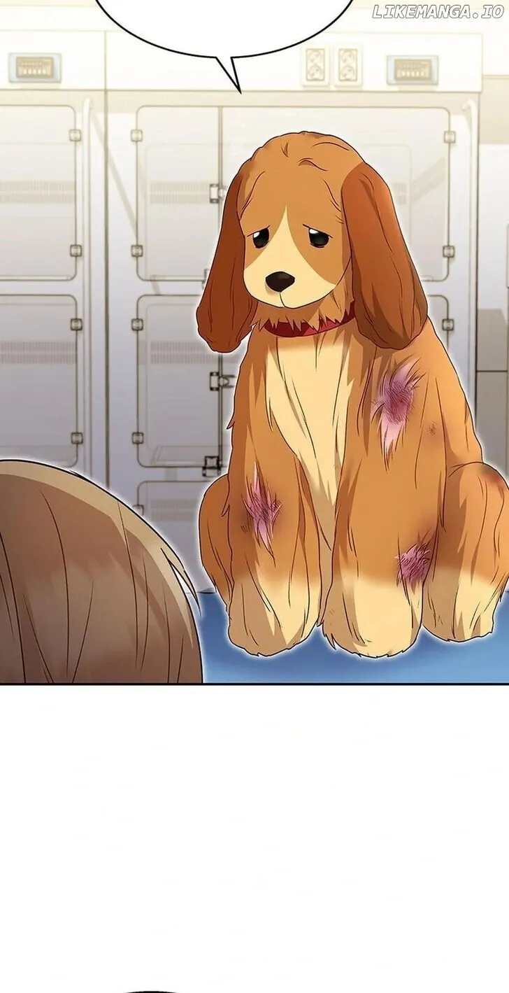 Hello, Mr. Veterinarian! Chapter 43 page 30 - 