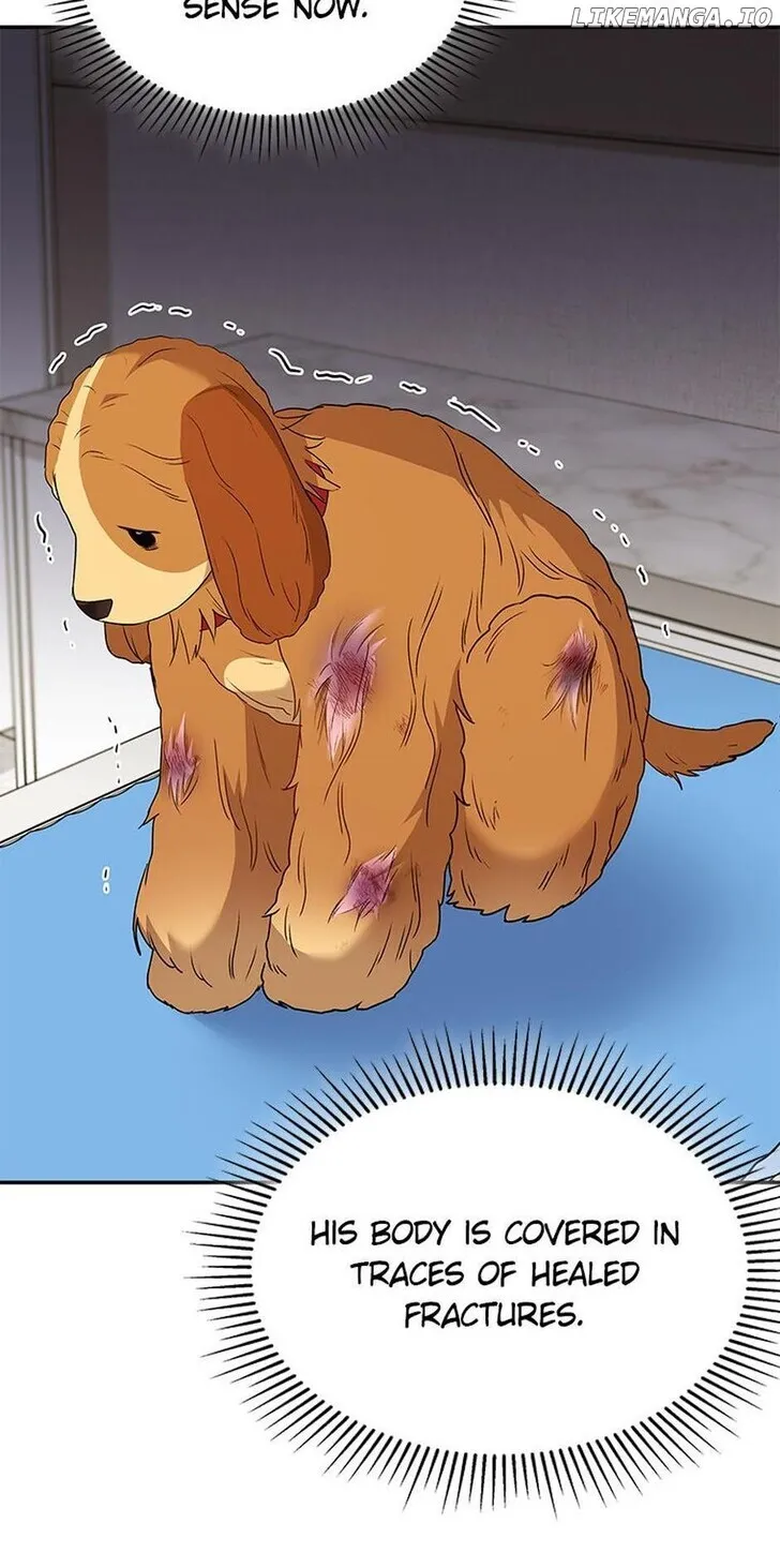 Hello, Mr. Veterinarian! Chapter 43 page 4 - 