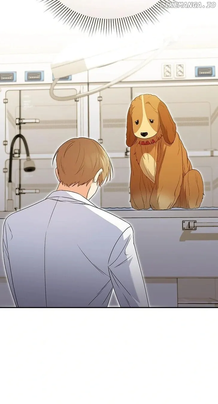 Hello, Mr. Veterinarian! Chapter 43 page 37 - 