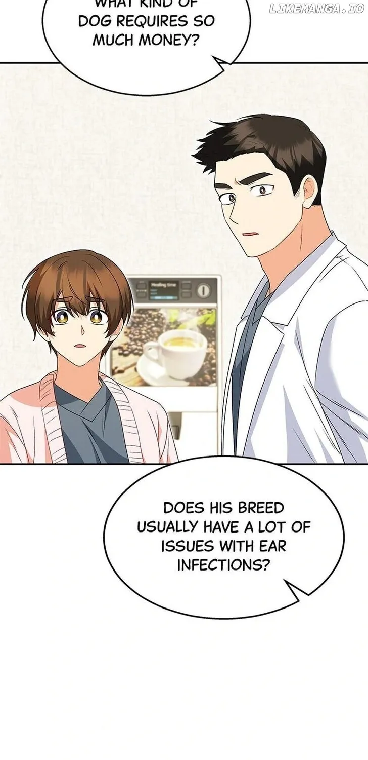 Hello, Mr. Veterinarian! Chapter 43 page 48 - 