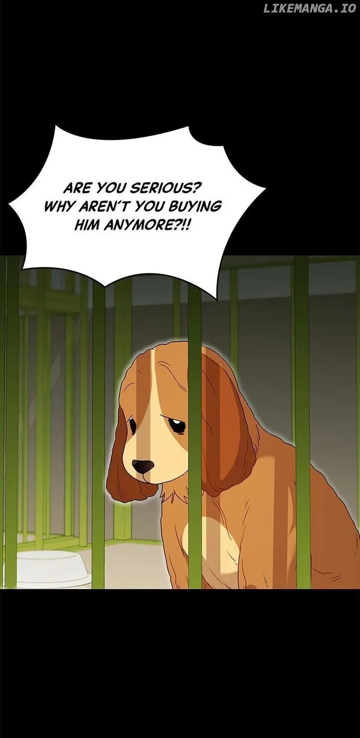Hello, Mr. Veterinarian! Chapter 43 page 10 - 