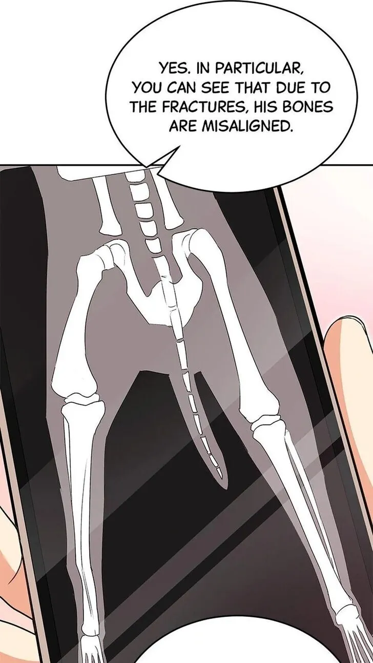 Hello, Mr. Veterinarian! Chapter 44 page 38 - 