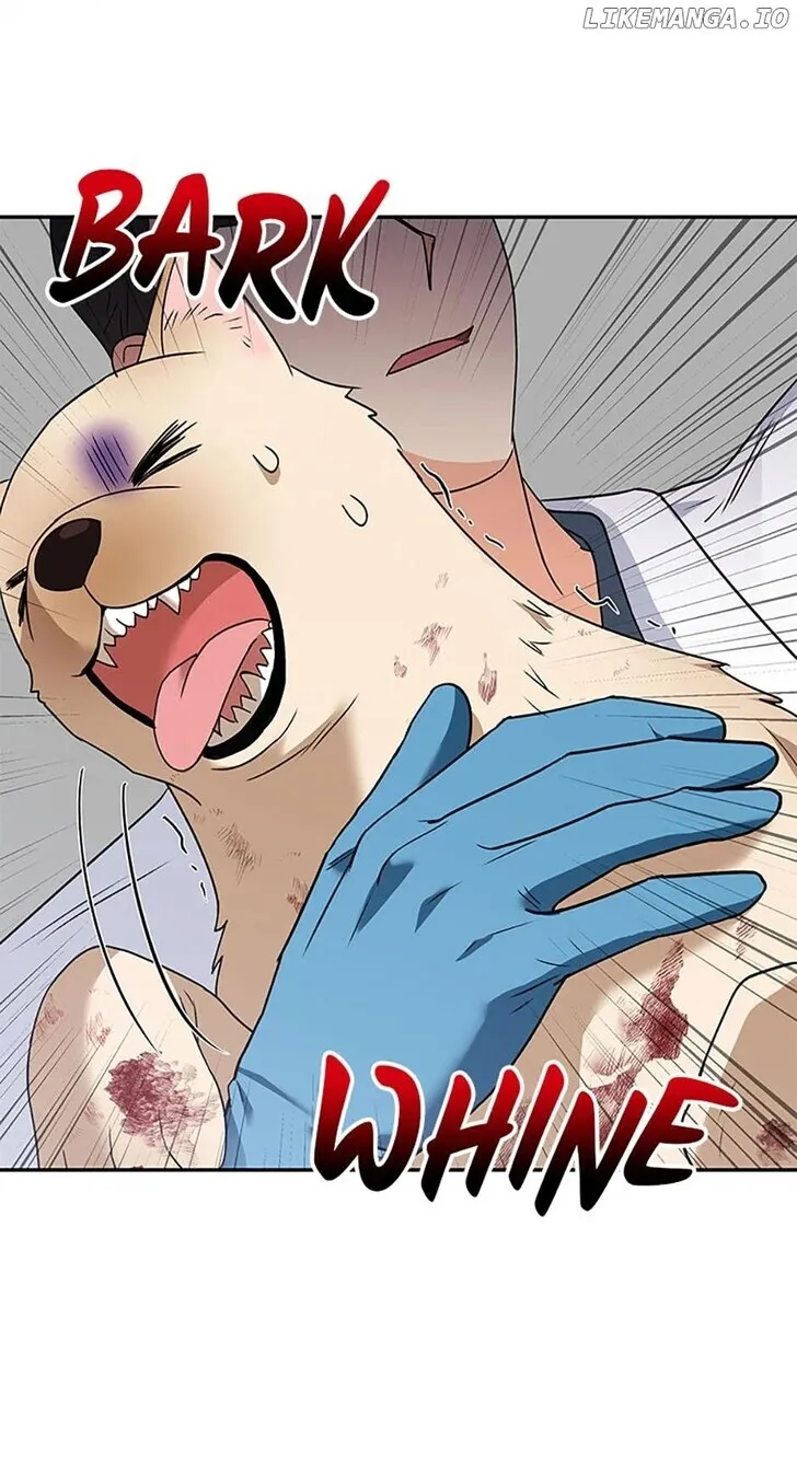 Hello, Mr. Veterinarian! Chapter 46 page 60 - 