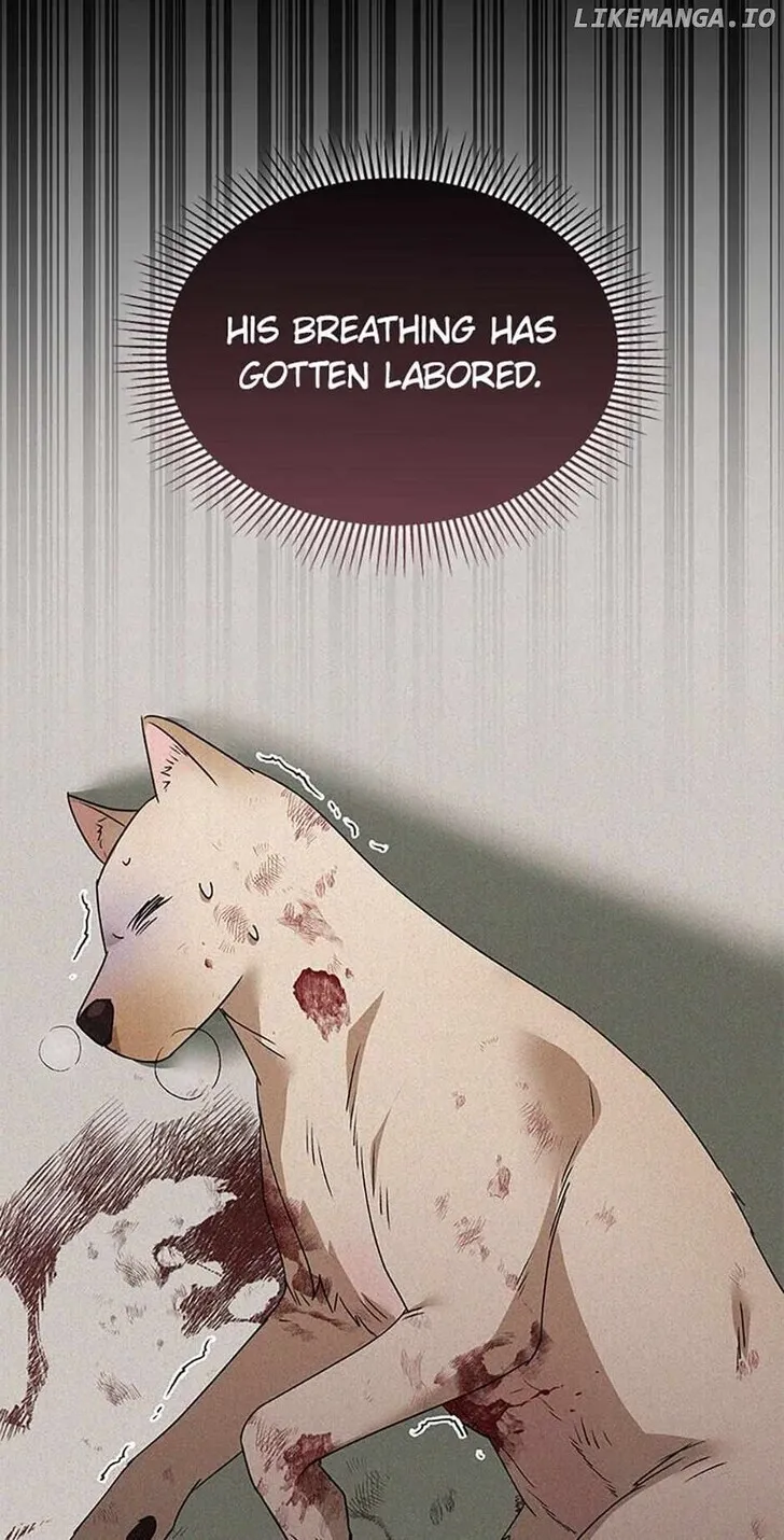 Hello, Mr. Veterinarian! Chapter 46 page 81 - 