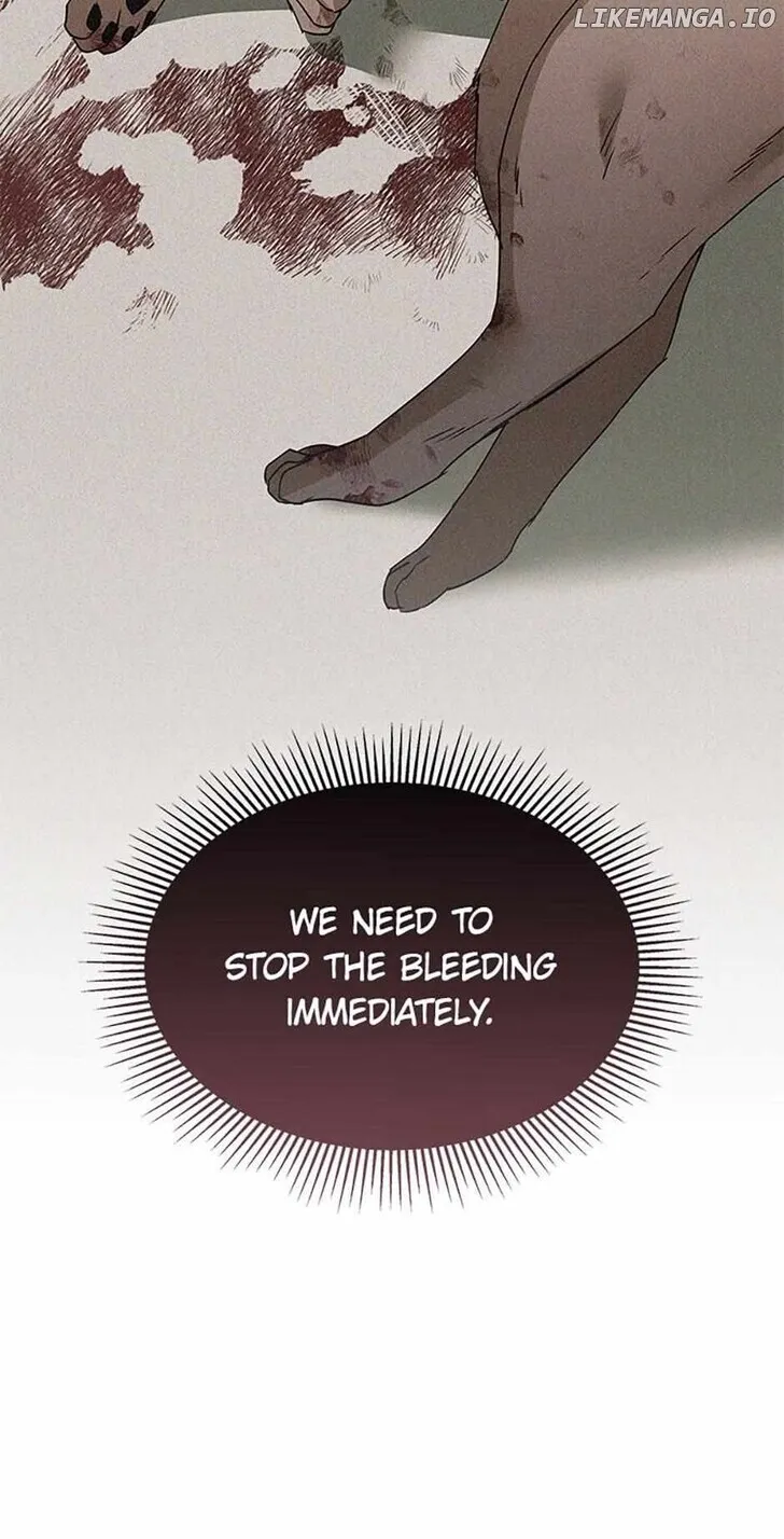 Hello, Mr. Veterinarian! Chapter 46 page 82 - 
