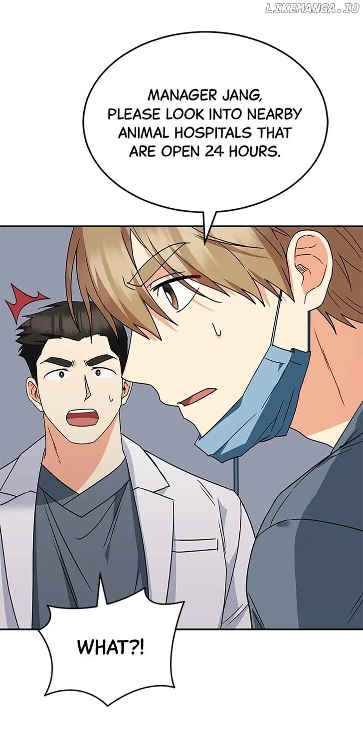 Hello, Mr. Veterinarian! Chapter 46 page 84 - 