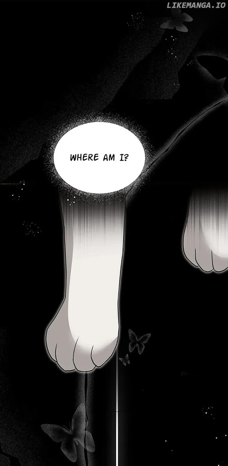 Hello, Mr. Veterinarian! Chapter 47 page 14 - 