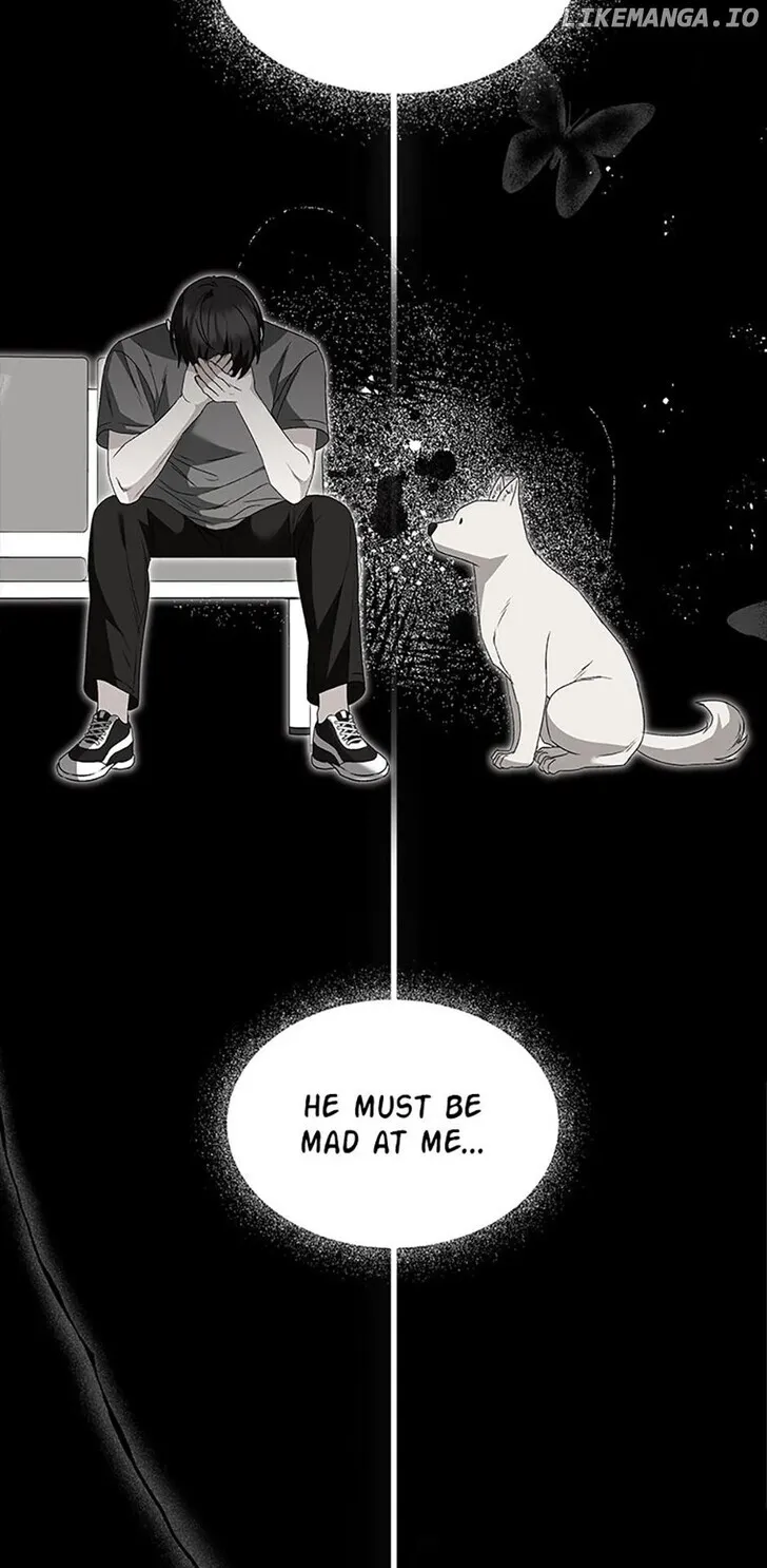 Hello, Mr. Veterinarian! Chapter 47 page 17 - 