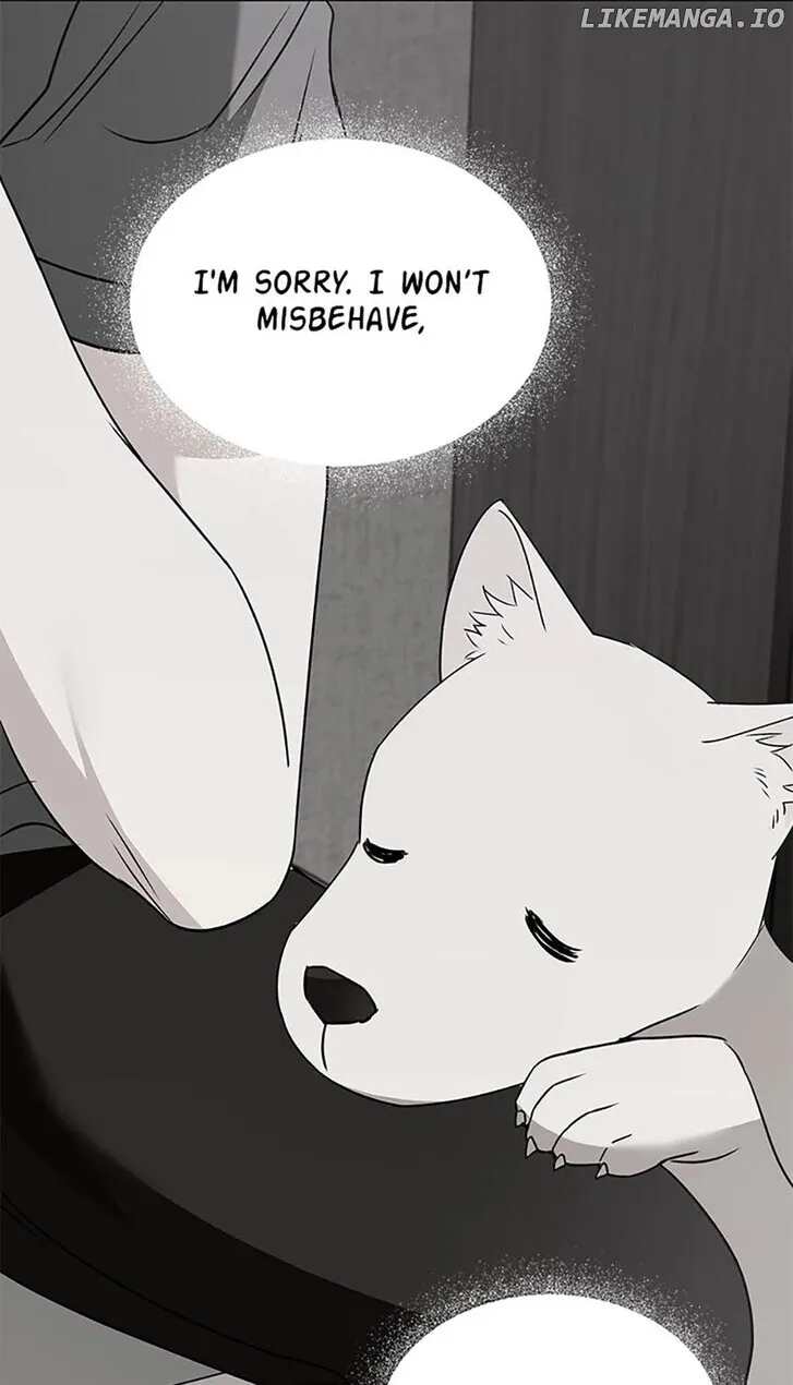 Hello, Mr. Veterinarian! Chapter 47 page 19 - 