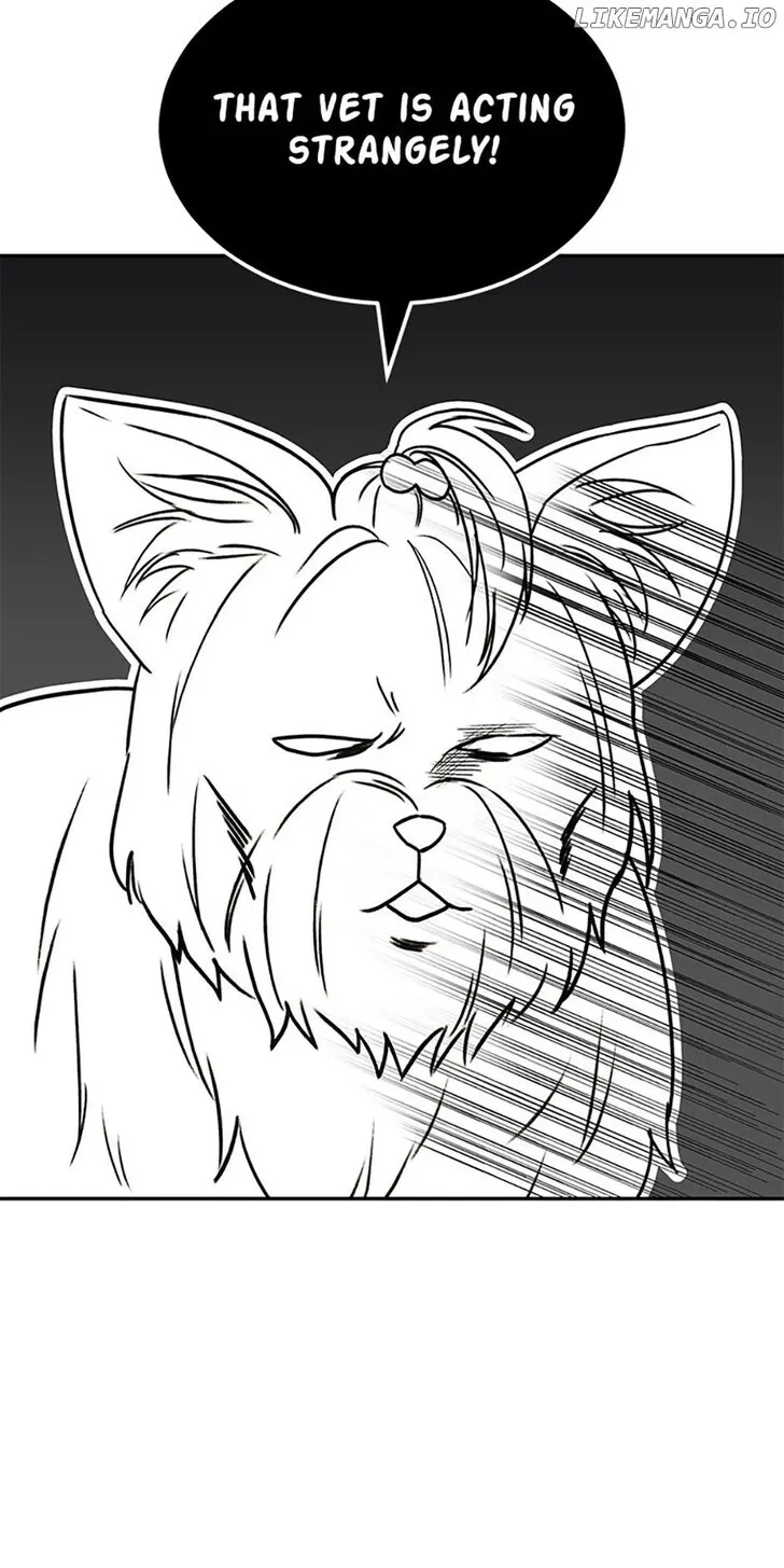 Hello, Mr. Veterinarian! Chapter 47 page 56 - 