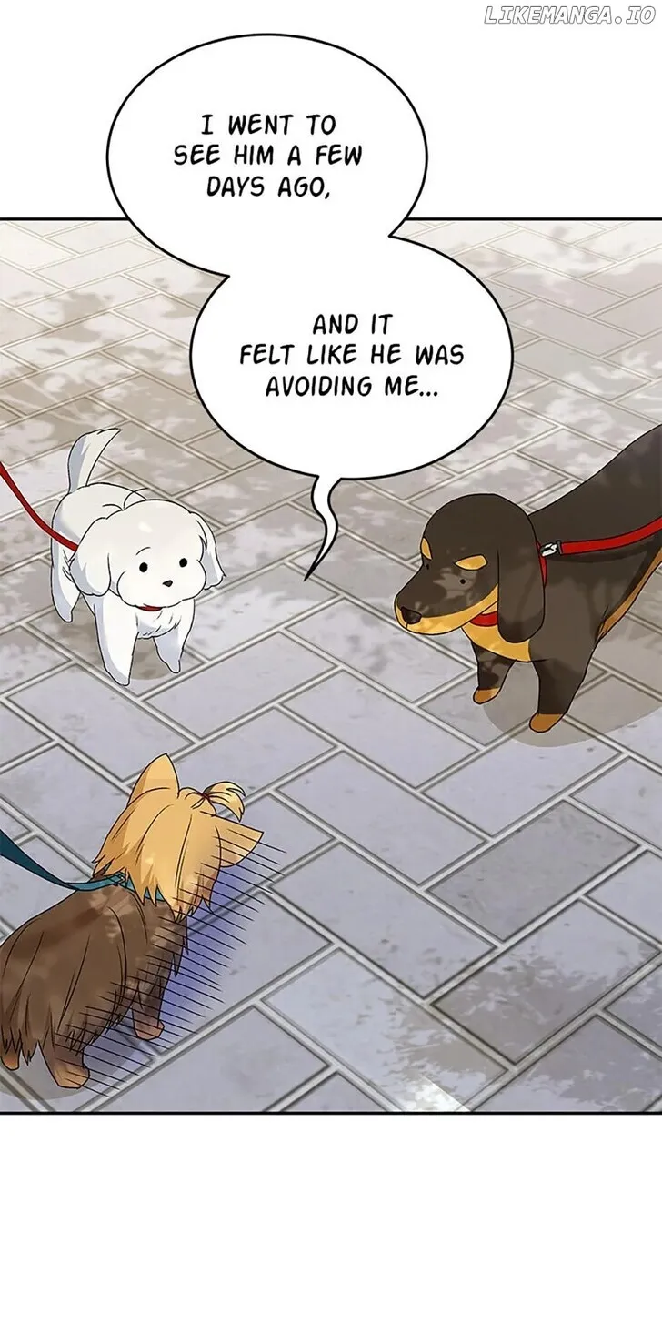 Hello, Mr. Veterinarian! Chapter 47 page 57 - 