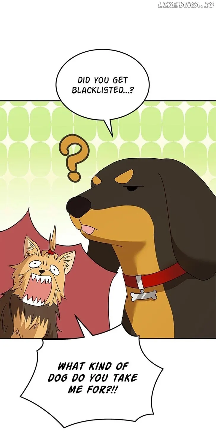 Hello, Mr. Veterinarian! Chapter 47 page 58 - 