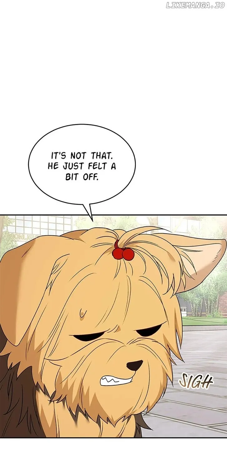 Hello, Mr. Veterinarian! Chapter 47 page 59 - 