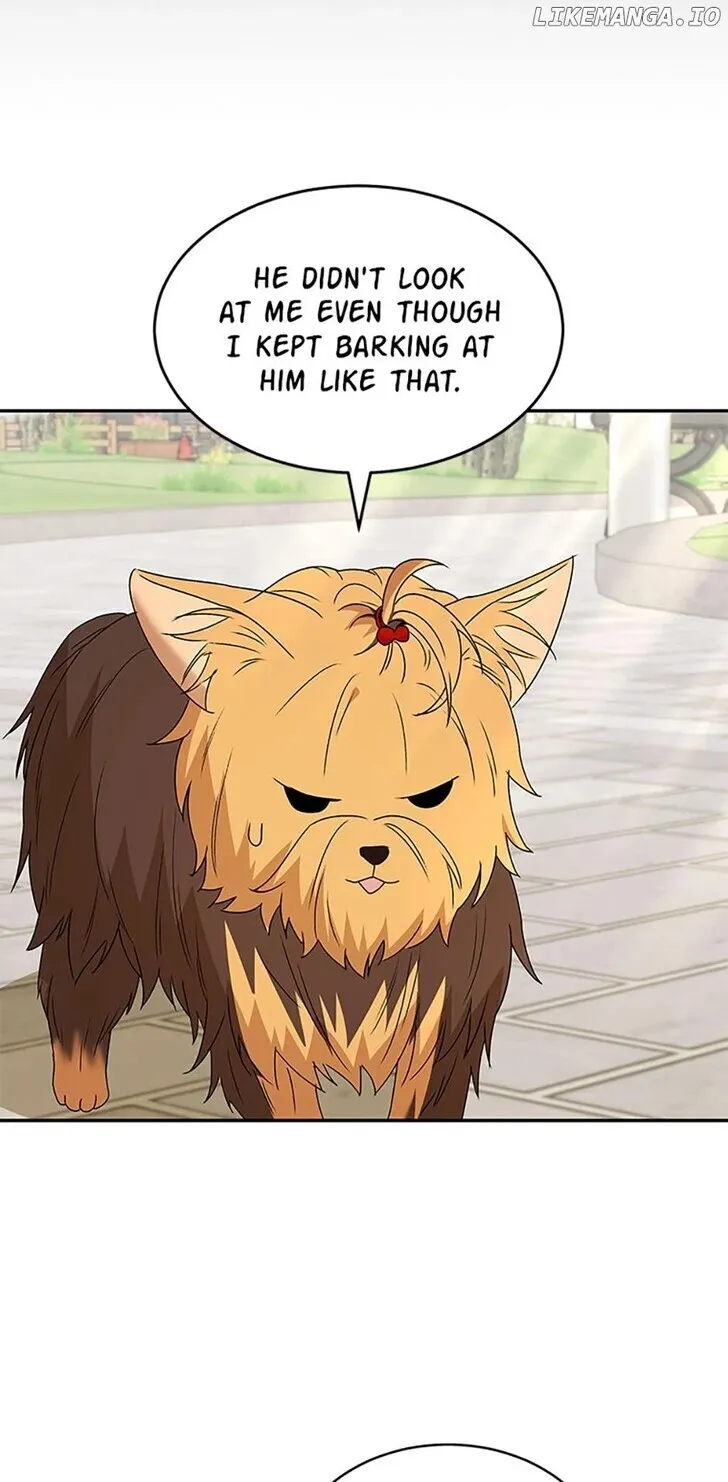 Hello, Mr. Veterinarian! Chapter 47 page 83 - 