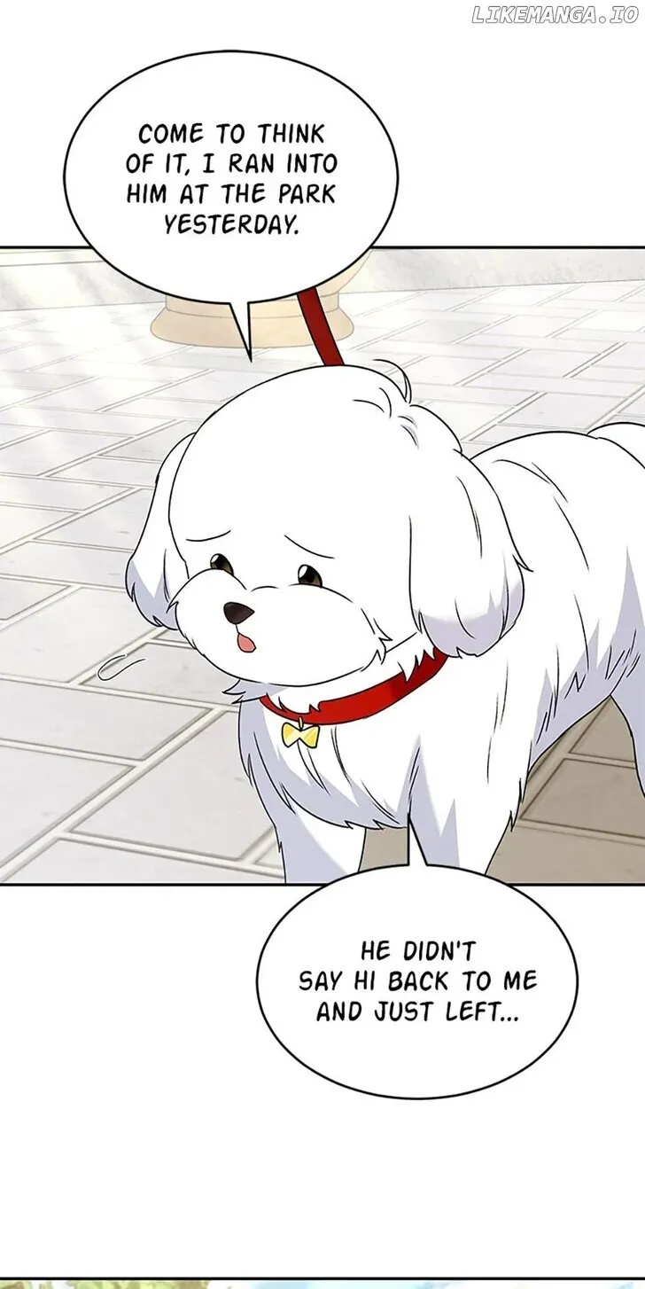 Hello, Mr. Veterinarian! Chapter 47 page 85 - 