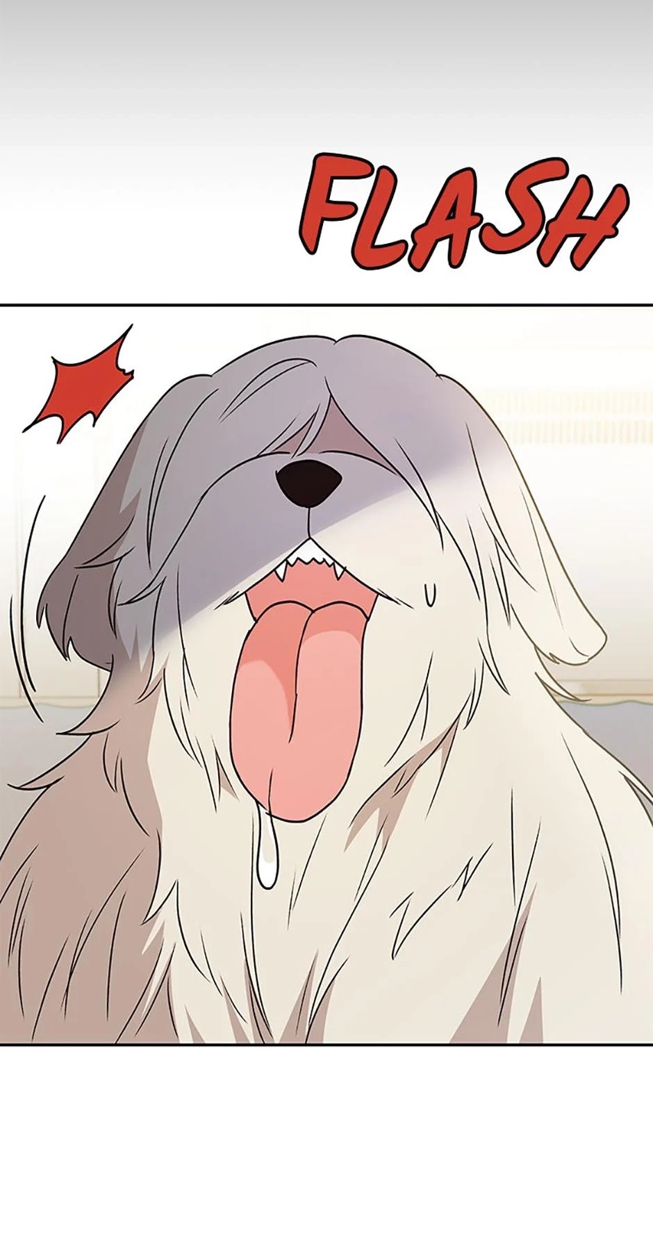 Hello, Mr. Veterinarian! Chapter 49 page 15 - 