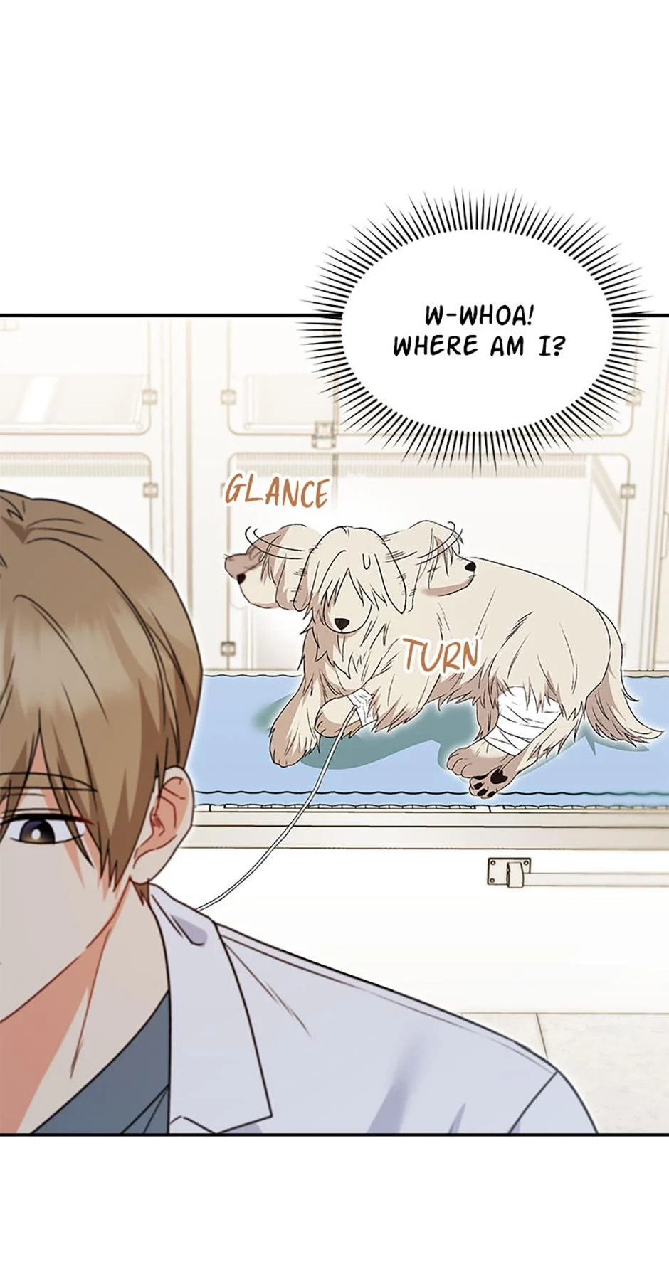 Hello, Mr. Veterinarian! Chapter 49 page 16 - 
