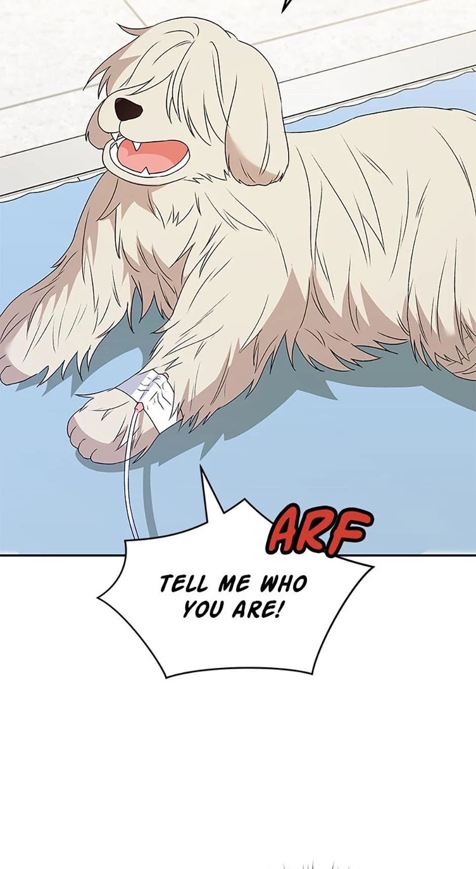 Hello, Mr. Veterinarian! Chapter 49 page 23 - 