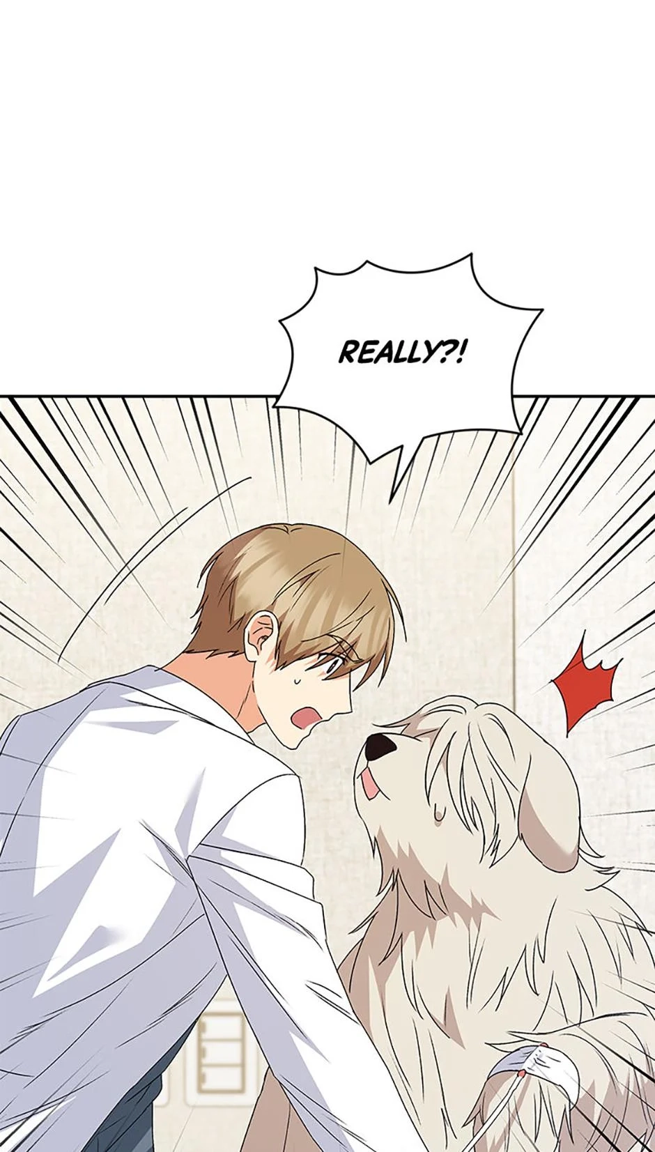 Hello, Mr. Veterinarian! Chapter 49 page 40 - 