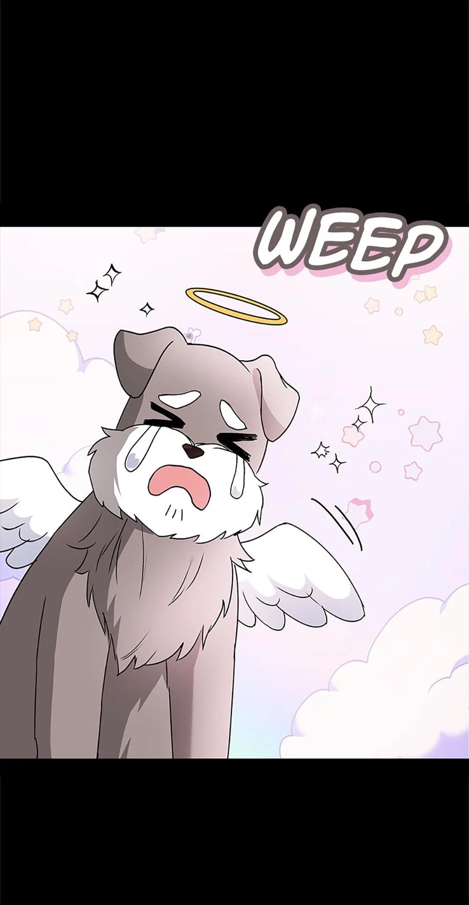 Hello, Mr. Veterinarian! Chapter 49 page 6 - 