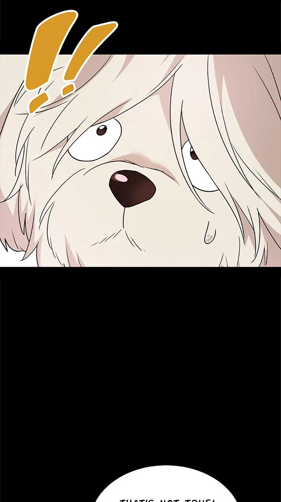 Hello, Mr. Veterinarian! Chapter 49 page 7 - 