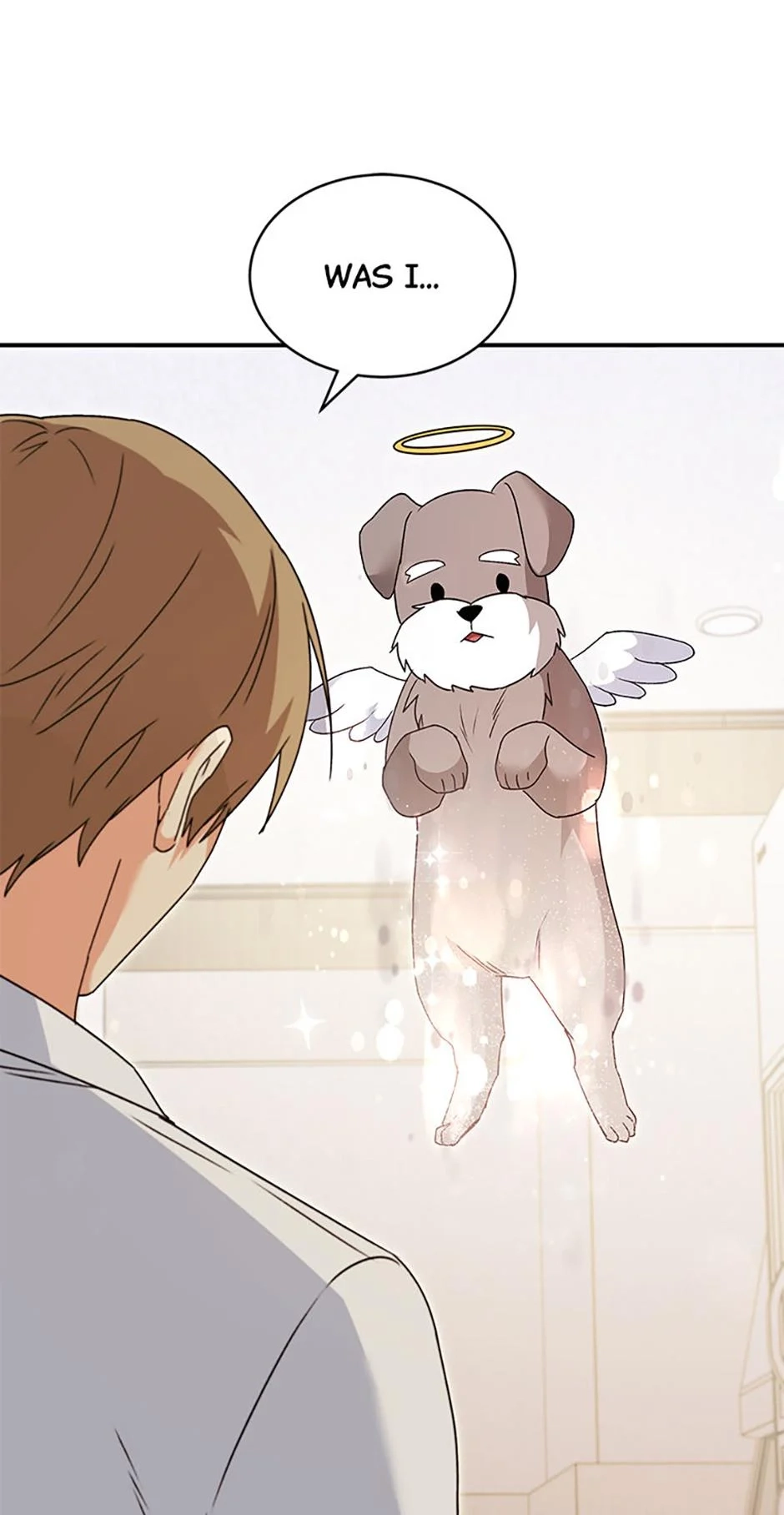 Hello, Mr. Veterinarian! Chapter 49 page 71 - 