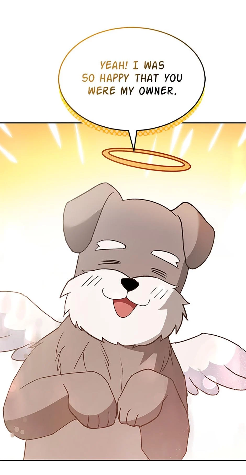 Hello, Mr. Veterinarian! Chapter 49 page 73 - 