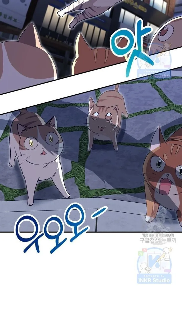 Hello, Mr. Veterinarian! Chapter 5 page 104 - 