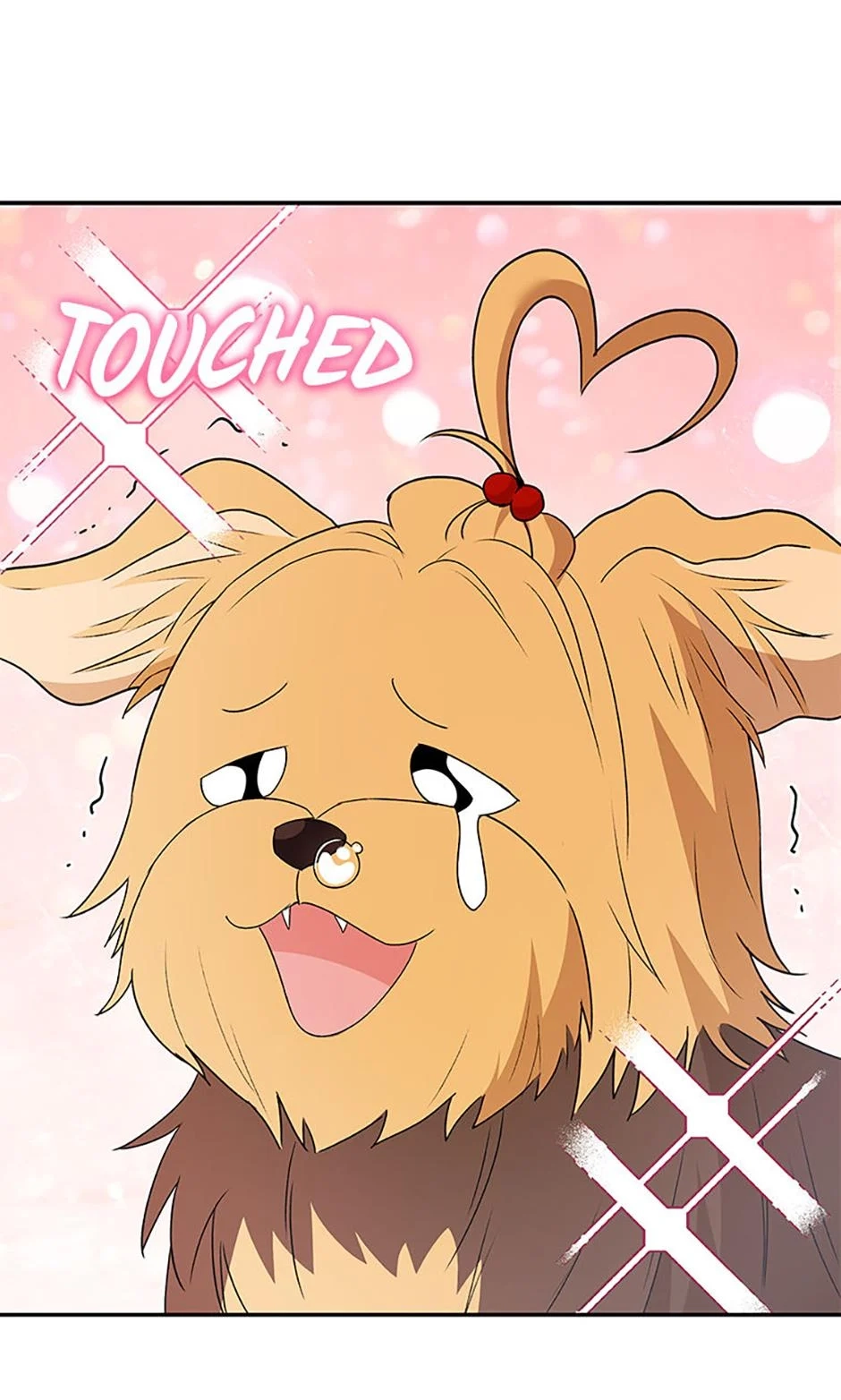Hello, Mr. Veterinarian! Chapter 50 page 12 - 