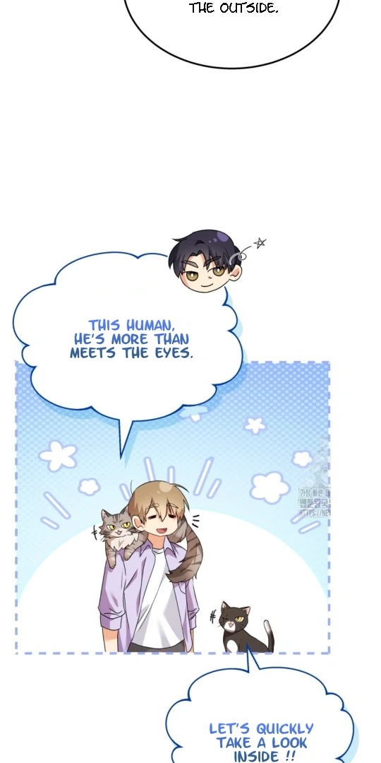 Hello, Mr. Veterinarian! Chapter 51 page 11 - 