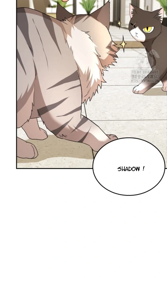 Hello, Mr. Veterinarian! Chapter 51 page 21 - 