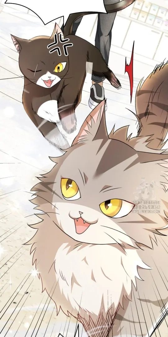 Hello, Mr. Veterinarian! Chapter 51 page 23 - 