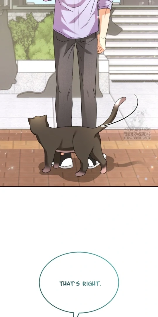 Hello, Mr. Veterinarian! Chapter 51 page 4 - 