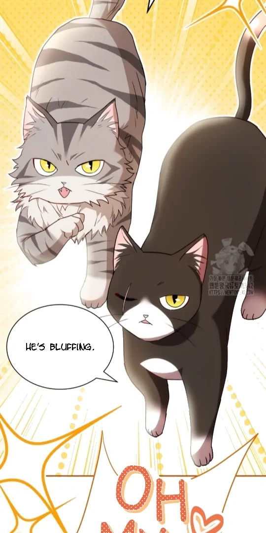 Hello, Mr. Veterinarian! Chapter 51 page 39 - 