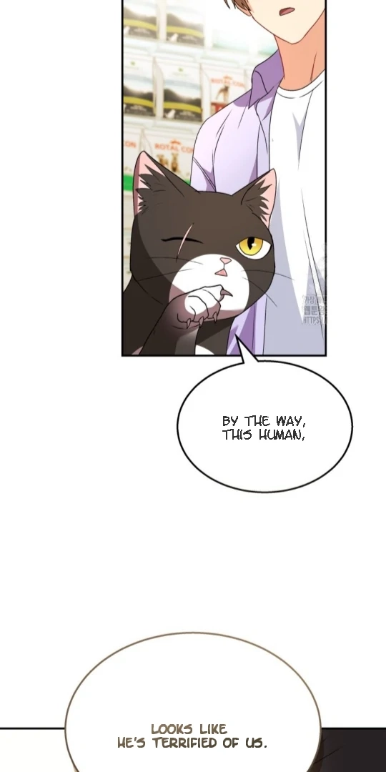Hello, Mr. Veterinarian! Chapter 51 page 56 - 