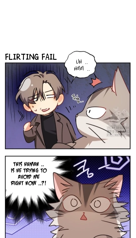 Hello, Mr. Veterinarian! Chapter 51 page 91 - 