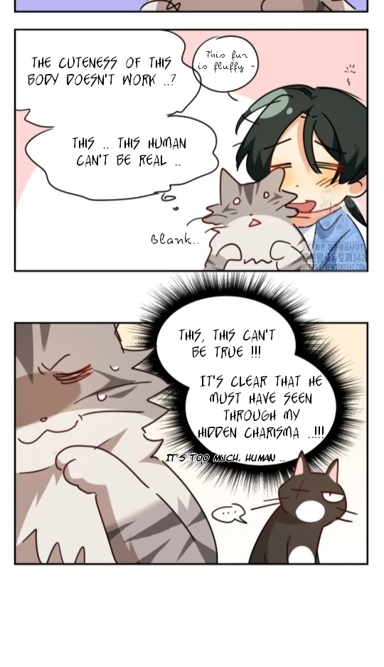 Hello, Mr. Veterinarian! Chapter 51 page 92 - 