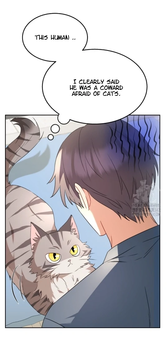 Hello, Mr. Veterinarian! Chapter 52 page 12 - 