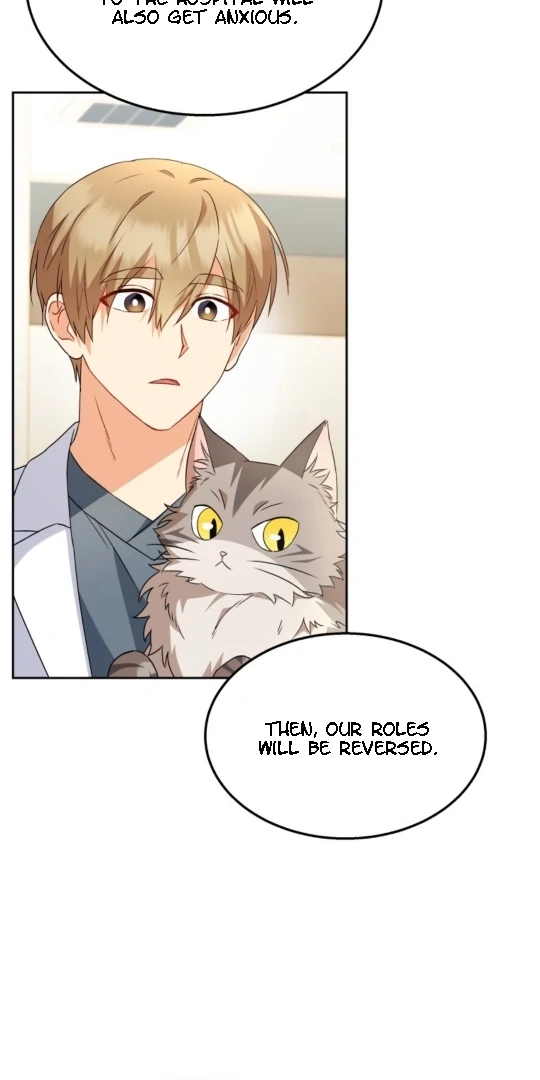 Hello, Mr. Veterinarian! Chapter 52 page 38 - 