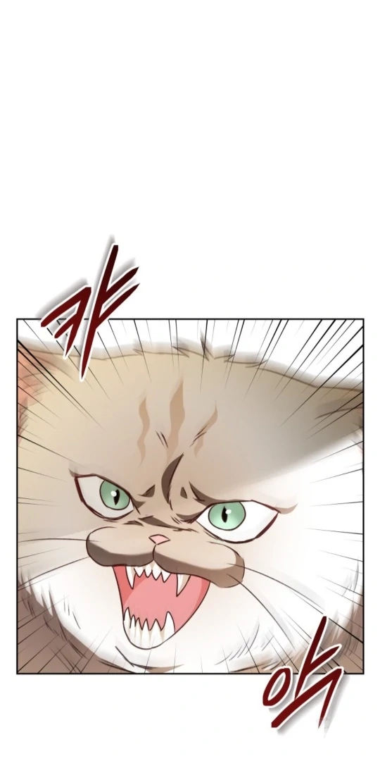 Hello, Mr. Veterinarian! Chapter 52 page 73 - 