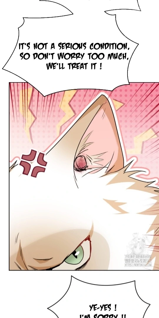 Hello, Mr. Veterinarian! Chapter 52 page 79 - 