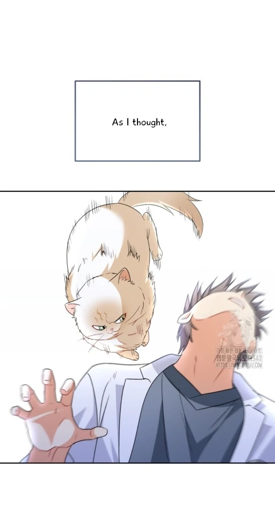 Hello, Mr. Veterinarian! Chapter 53 page 24 - 